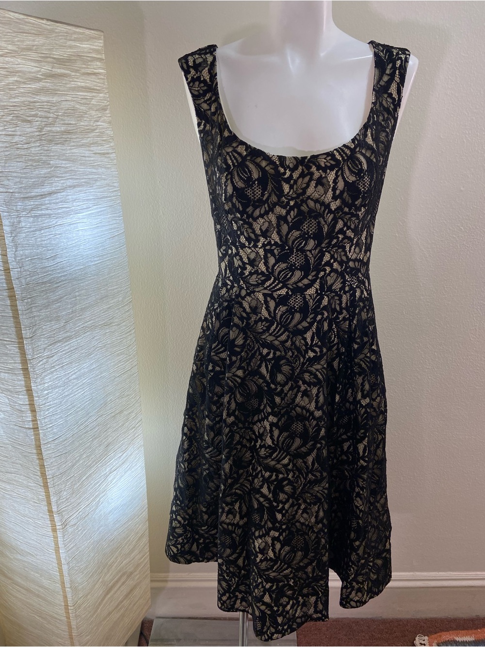 NWOT Anthropologie Mirror of Venus Lace Dress Sz 10 Sleeveless Black Cream Midi